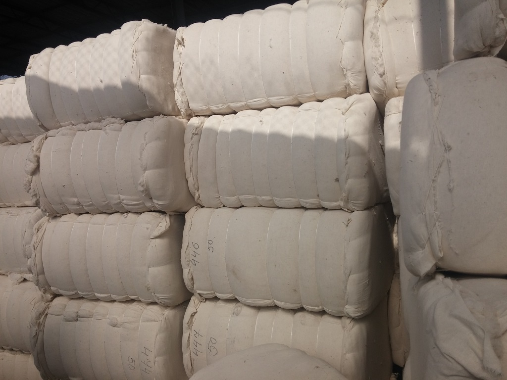 Вата Прима — кипы